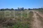 Teren de vanzare, 3000 mp, zona Dumbrava