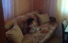 Casă cu Teren 5000 Mp în Mărășești - 5