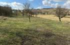 Teren de vanzare Sat Corusu, comuna Baciu 3484mp - 2