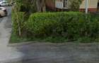 Spatiu comercial Brancoveanu 118 - 1