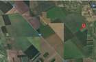 Teren extravilan Alexandria, ID: R3241103 - 6