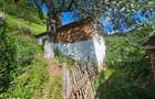 Casa traditionala, investitie potential de dezvoltare, 65 mp, Capalna, - 1