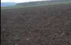 Vand Teren arabil 4 hectare in Costesti, Buzau - 2