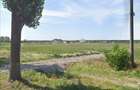 Teren intravilan Ganeasa - Moara Domneasca - 1