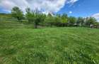 Teren intravilan 2500 mp + casa + anexe, CF 62707 Dej (Pintic nr. 223) 32.500 Euro Neg. - 4