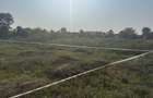 Teren intravilan linistit langa padure bucov mica roma - 4