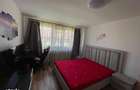 Apartament 1 camera-Buziasului - 4