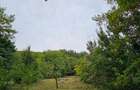 Teren 1000 mp cu tiny house, priveliste spre rau si padure- la 1h30 de Bucuresti - 9
