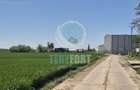 Teren intravilan construire hale depozitare, industrie , servicii, com