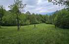Domeniu Premium 1.7 Ha Intravilan Zarnesti | Liziera Padure - 16