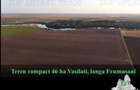 Teren intravilan - Calarasi - Vasilati - - 1