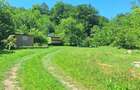 Vand gradina intravilan pe Valea Barzavii - 1