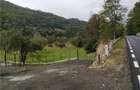 Teren 4.240 mp la DN75 - 5