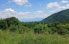 Teren intravilan cu PUZ, str. Ciresilor, Cisnadioara 1409 mp, front 29 m, 59.5 /mp