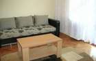 Apartament 1 camera central Podgoria