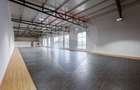 Spațiu Comercial de închiriat,  450 mp utili - Aleșd - 10