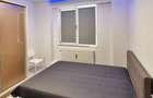 Apartament 2 camere Parc Tineretului - 3