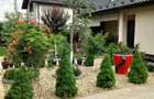 Particular vand casa Buftea - 9