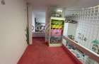 Apartament de vanzare ,3 camere 65 mp /GRADINA 51MP, zona SUB CETATE - 14