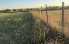 Teren de constructie, 4000mp, acces asfaltat - 10