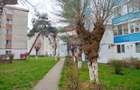 Apartament trei camere Iernuteni- Reghin - 3