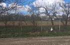 Vand teren intravilan 2800 m2 - Sat Botesti - comuna Horodniceni - jud Suceava. - 3