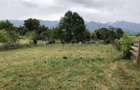 Teren Intravilan 1.829 MP Cartisoara ,| PRIVELISTE SPRE MUNTII FAGARAS - 2