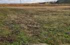 Casă cu 8 camere cu Teren 180000 Mp în Pietroiu - 4