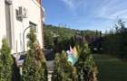 Vand Casa Individuala Floresti str Narciselor - 5