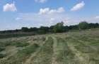 Vand teren pe malul lacului in Buftea - 4