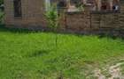 Vand casa + gradina! - 1
