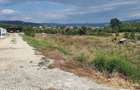 Teren intravilan in Cazane?ti - 5