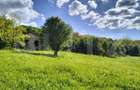 Teren intravilan 10.000 mp cu casa | Mada Cheile Mazii - 6