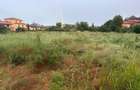 Teren intravilan 4.000 mp | Mogosoaia | Dubla deschidere - 2