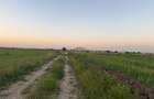 Ideal Investitie - Str Ctin Brancoveanu, zona noua, intravilan in noul PUG - 10