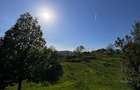 Teren intravilan 4.134 mp | Deschidere 35m la asfalt | Expunere Sudică, Terasat
