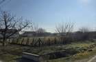 Vand teren intravilan Jebel 5 parcele, intre 500-750mp bucata - 2