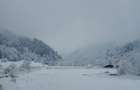 Teren 2.000 mp Zarnesti | PUZ 2 case vacanta | Piatra Craiului - 4