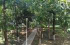 Proprietar/ persoana fizica Apartament 3 camere, etaj 1 , Splai Bahlui Mal Drept - 5