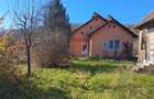 Valea Borcutului casa cu teren 9.000 mp - 4
