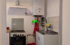 Apartament la casa de inchiriat parter Sibiu Ultracentral - 6