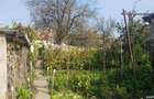 Casa particulara ultracentrala, teren deschidere doua strazi, Simeria - 6
