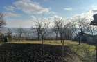 Vand Casa Platou, str. CORNESTI- teren 1150 mp - 4
