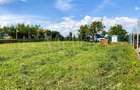Teren intravilan pentru constructii de vanzare in Paleu, Oradea - 2