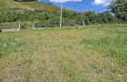 Teren intravilan de vanzare 100 lei m - 6