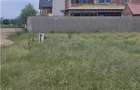Teren Intravilan, Construibil, Ovidiu, Spre Poiana, lot de 302 mp - 4