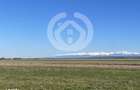 VANZARE TEREN ARABIL CRISTIAN, SIBIU | 11682 MP - 3