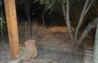 inchiriez ap.1 cam, casa, terasa, Steaua, langa Shopping City, 290 eur - 5