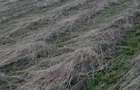Vand teren intravilan - 2