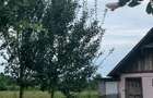 Casa + teren de 17.000 m2 de vanzare in sat Aciua, comuna Pomi, jud.Satu Mare - 5